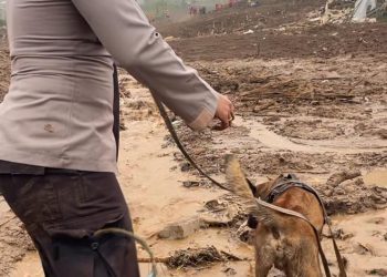 K9 Ditsamapta Polda Jabar Diterjunkan Cari Korban Longsor di Desa Pasirlangu