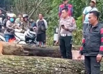 Polisi Evakuasi Pohon Tumbang di Paslon Nagreg