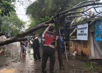 ‎Polisi Bersama Warga Evakuasi Pohon Tumbang Pasca Hujan