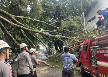 ‎Gerak Cepat Tim SAR Sat Brimob Polda Jabar Tangani Pohon Tumbang di Bandung, Akses Jalan Kembali Normal