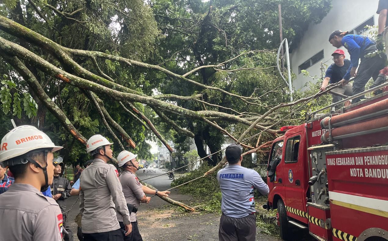 Gerak Cepat Tim SAR Sat Brimob Polda Jabar Tangani Pohon Tumbang di Bandung, Akses Jalan Kembali Normal