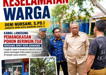 Langkah Nyata, Anggota DPRD Deni Nursani bersama DPKP Pangkas Pohon Tua: Sinergi Aspirasi Rakyat dan Aksi Cepat