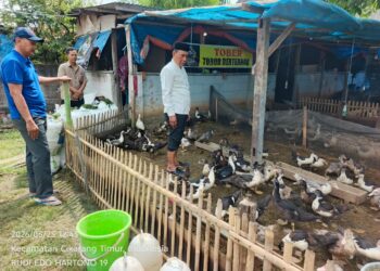 Bao Umbara Kunjungi Peternakan Entok TOBER, Dorong Kemandirian Ekonomi Warga Karangsari