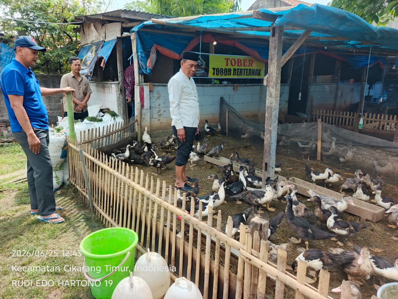 Bao Umbara Kunjungi Peternakan Entok TOBER, Dorong Kemandirian Ekonomi Warga Karangsari