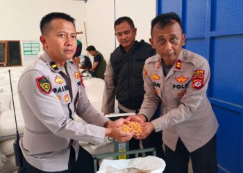 Polisi Salurkan 5 Ton Jagung ke Bulog, Wujud Dukungan Polri terhadap Ketahanan Pangan Nasional
