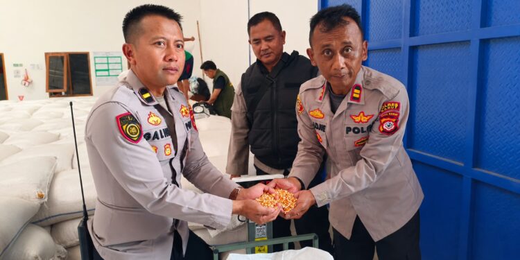 Polisi Salurkan 5 Ton Jagung ke Bulog, Wujud Dukungan Polri terhadap Ketahanan Pangan Nasional