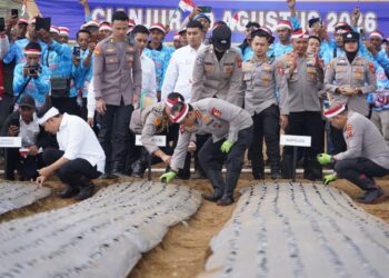 Wujudkan Swasembada, Waka Polri Pimpin Langsung Penanaman Perdana Bawang Putih Serentak