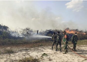 35 Hektare Lahan Terbakar di Cahya Bumi, Babinsa dan Damkar Bergerak Padamkan Api