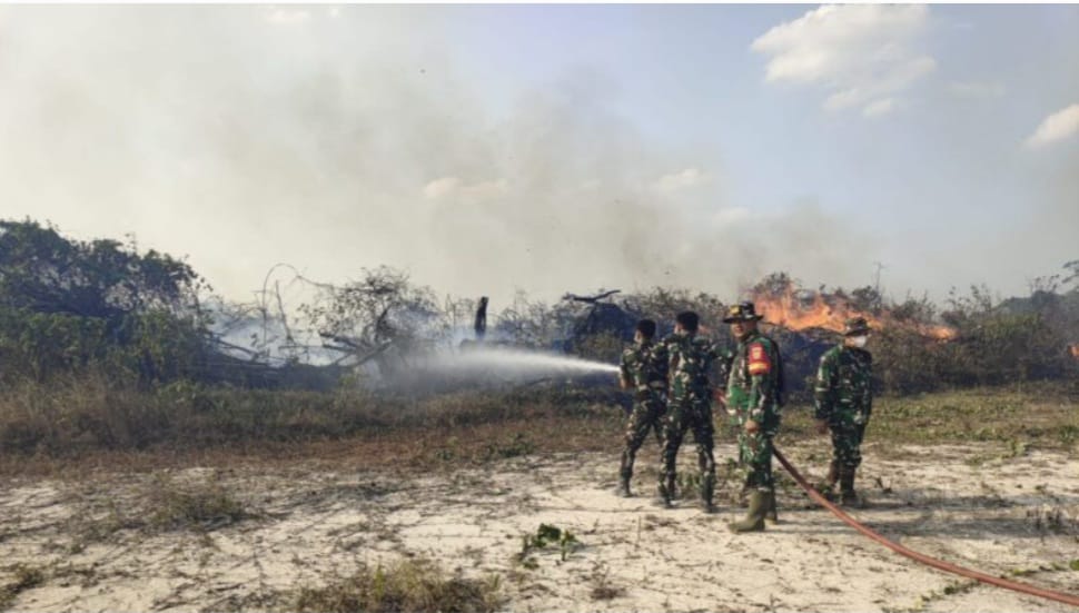 35 Hektare Lahan Terbakar di Cahya Bumi, Babinsa dan Damkar Bergerak Padamkan Api