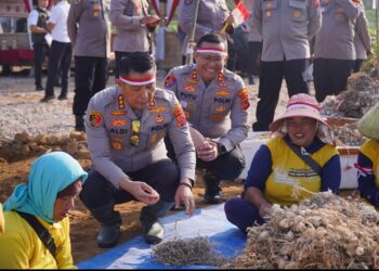 Polresta Bandung Ikuti Penanaman Bawang Putih Serentak, Dukung Ketahanan Pangan Nasional