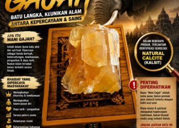 Mani Gajah Kembali Jadi Buruan Kolektor, Benarkah Batu Langka Bernilai Miliaran Rupiah?
