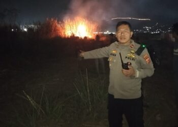 Kebakaran Lahan Kosong Seluas 4 Hektare di Kutawaringin Berhasil Dipadamkan, Tidak Ada Korban Jiwa