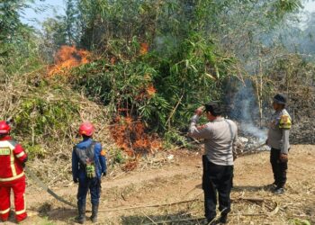 Polisi Bersama Damkar dan Warga Padamkan Kebakaran Lahan, Masyarakat Diimbau Waspada