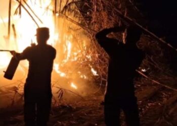 Cegah Api Meluas, Polisi Bantu Damkar Padamkan Kebakaran Kebun Bambu